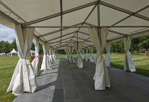 blodomloppet